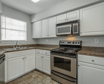 Fully-Equipped Gourmet Kitchens with Black or Stainless Steel Appliances